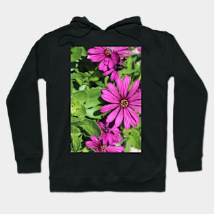 Pink daisies Hoodie